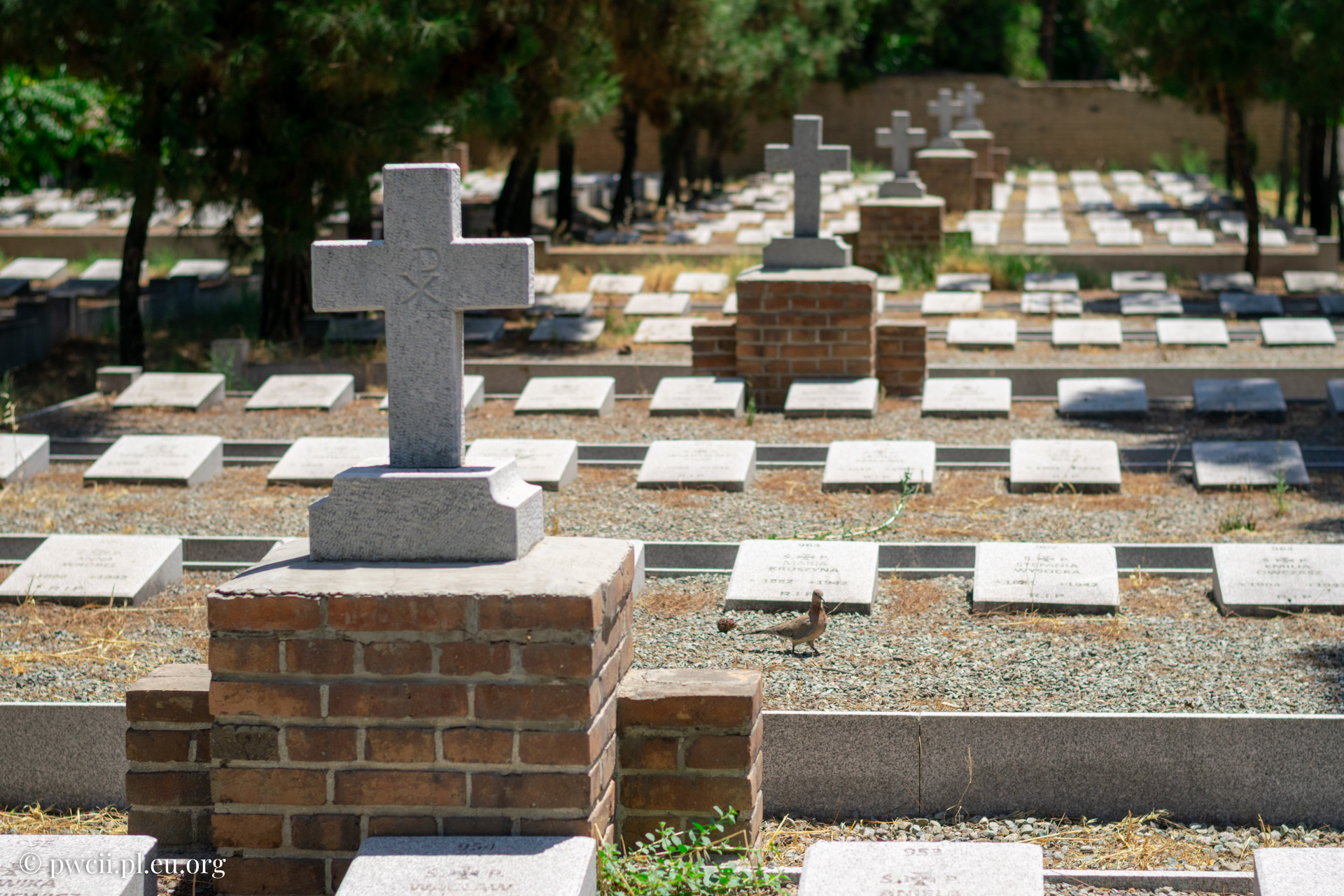 Doulab Cemetery