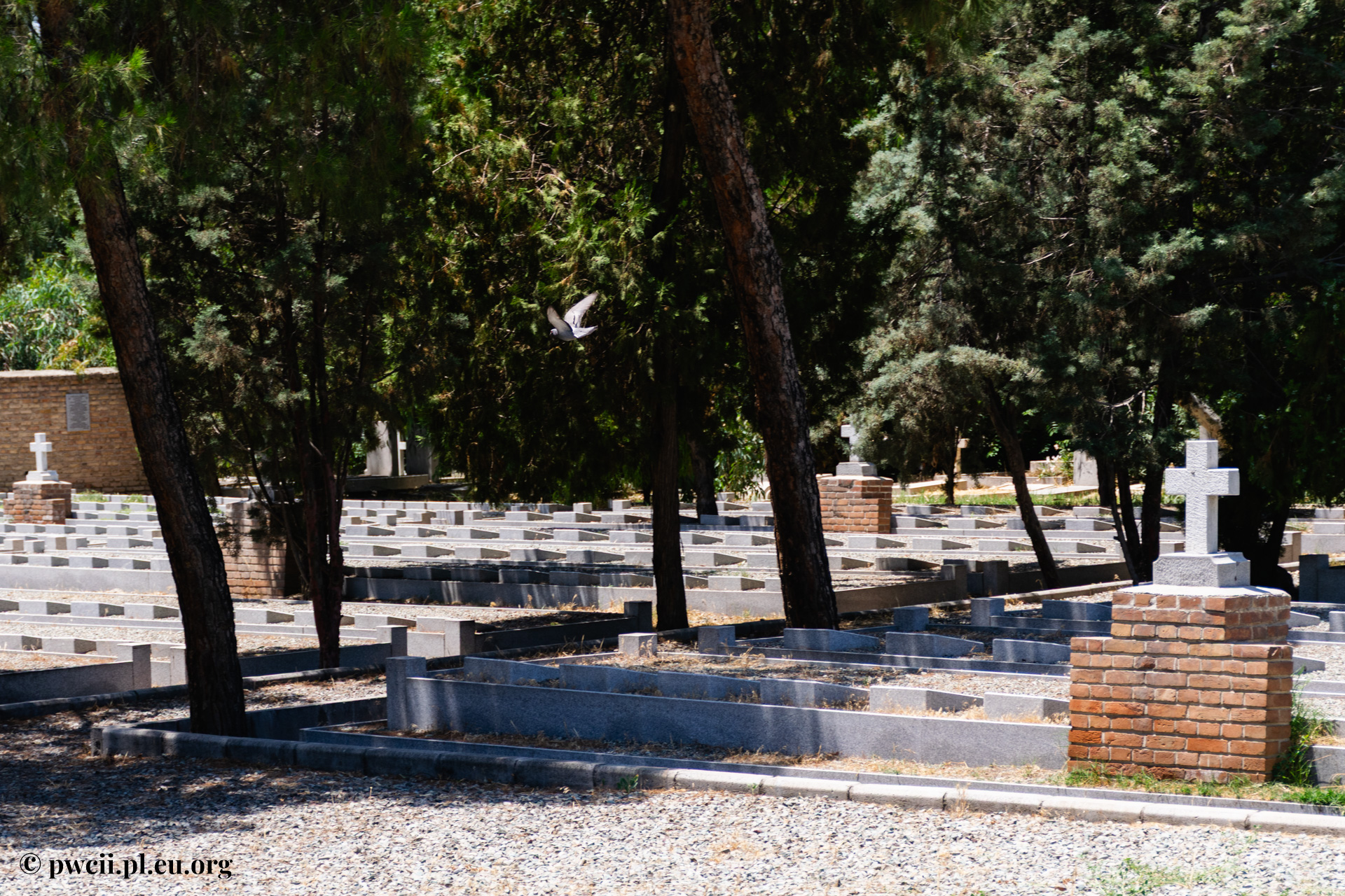 Doulab Cemetery