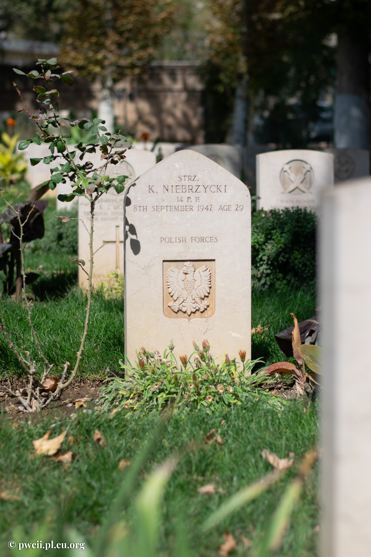 Tehran War Cemetery