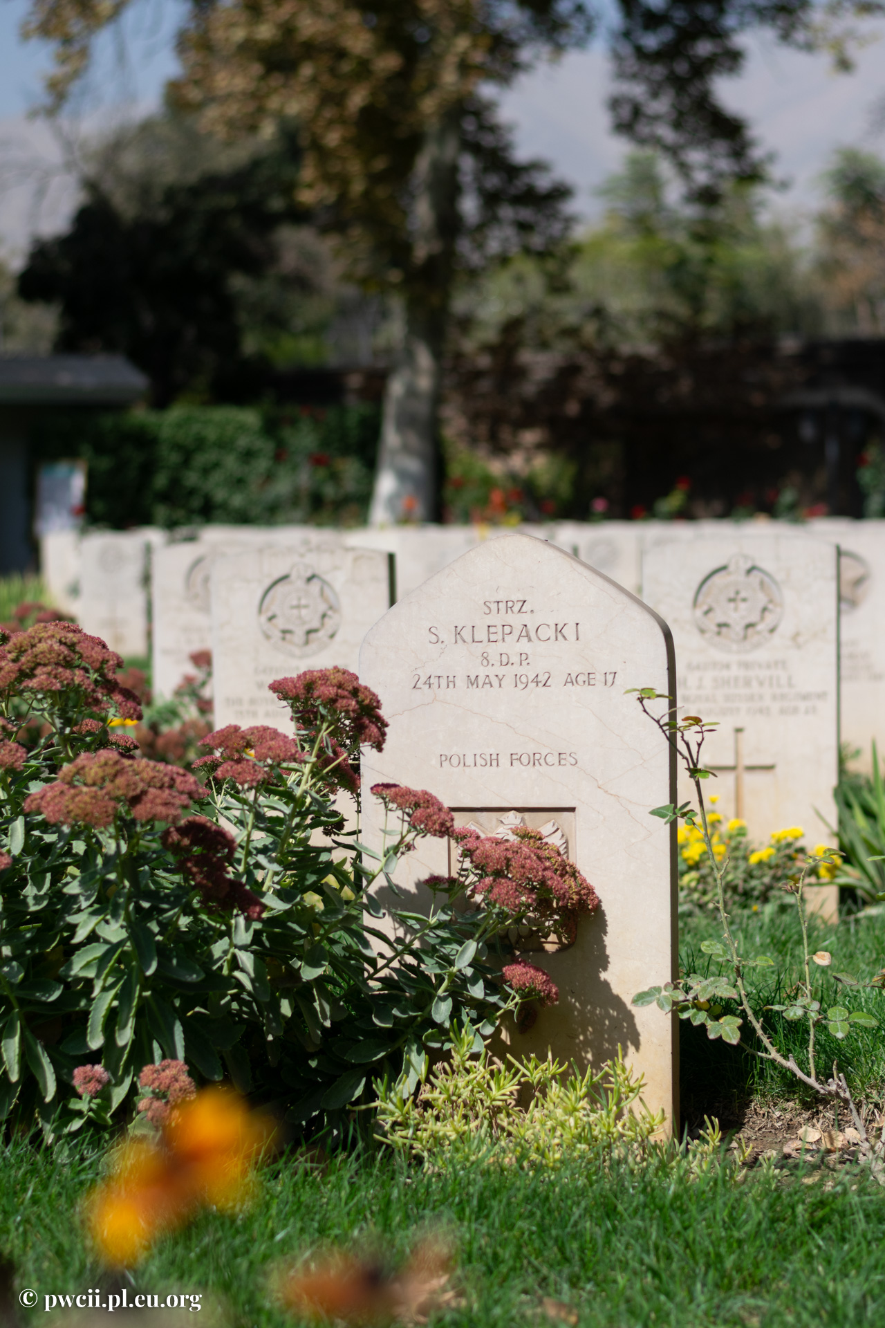 Tehran War Cemetery