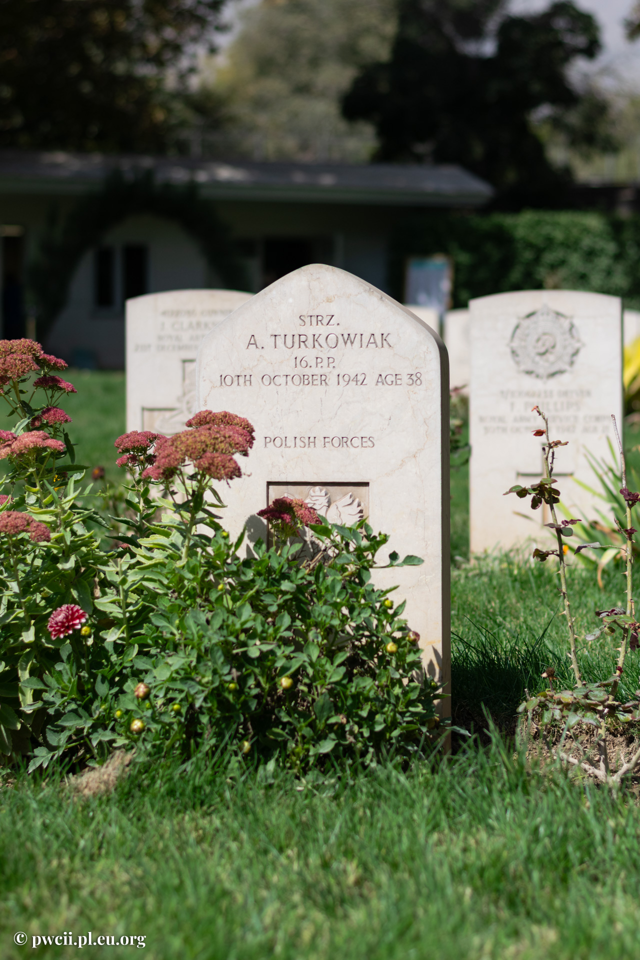 Tehran War Cemetery