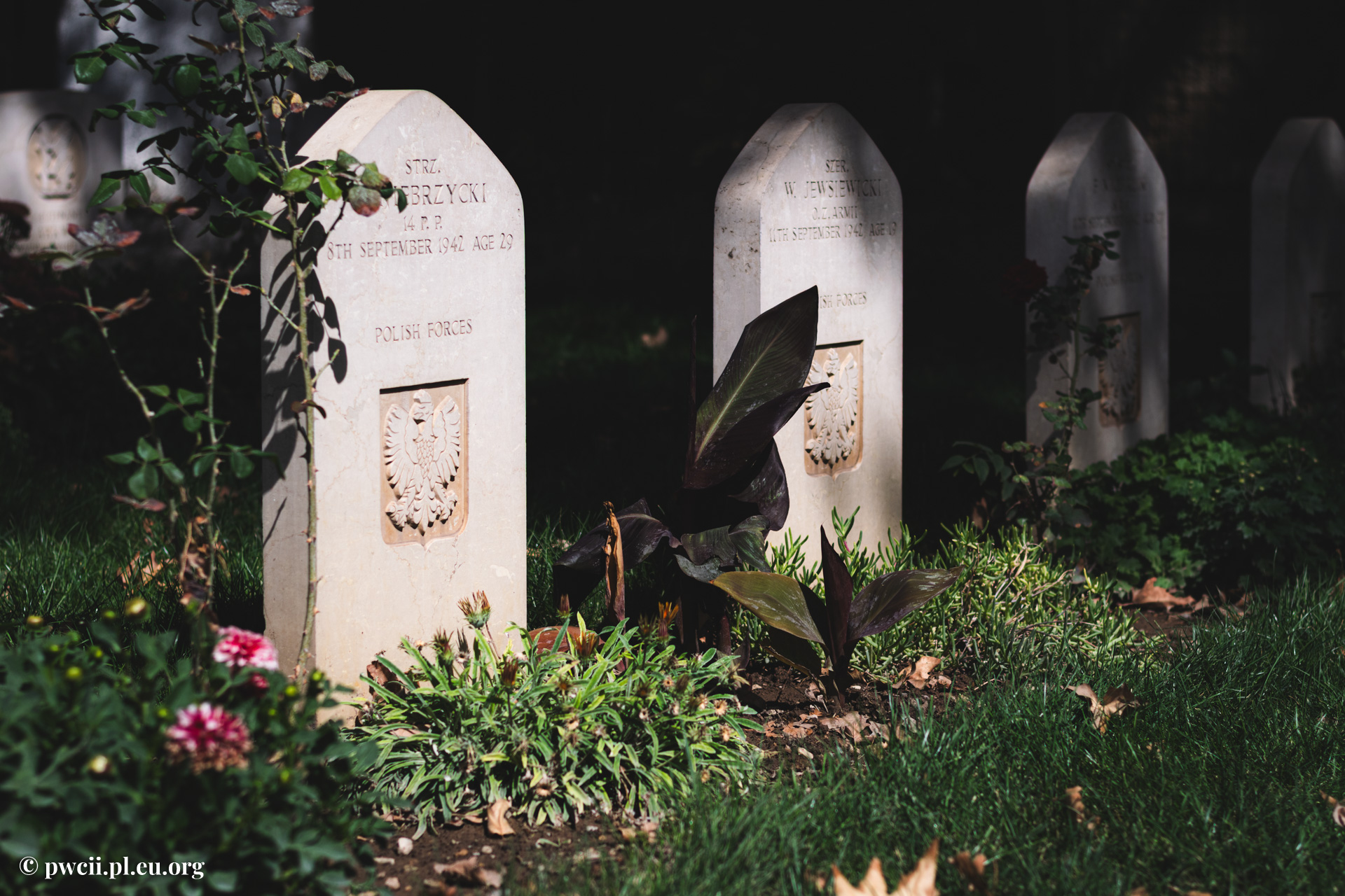 Tehran War Cemetery